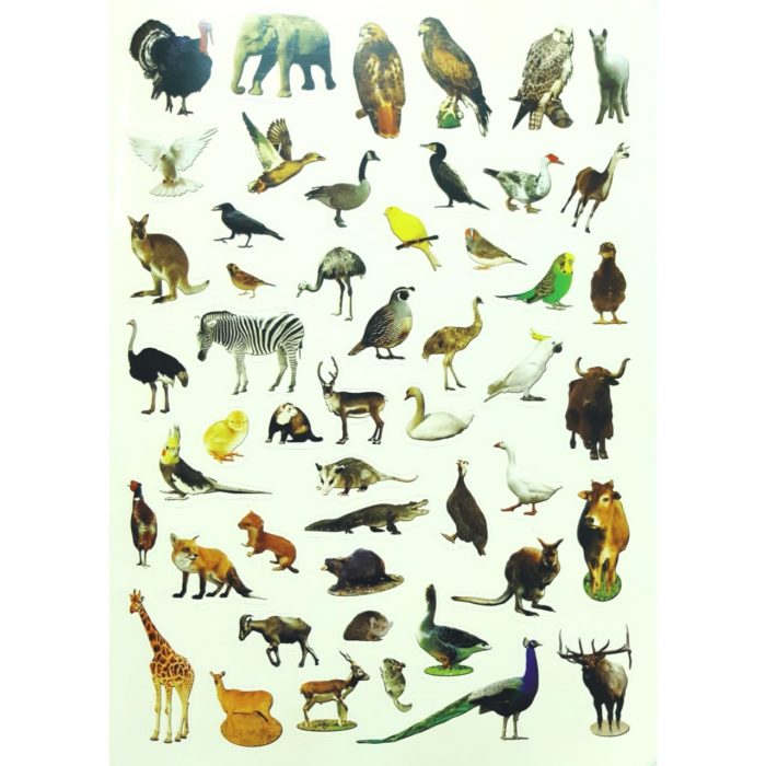 My Book of 100 Stickers - Farm and Zoo Animals - Charran's Chaguanas